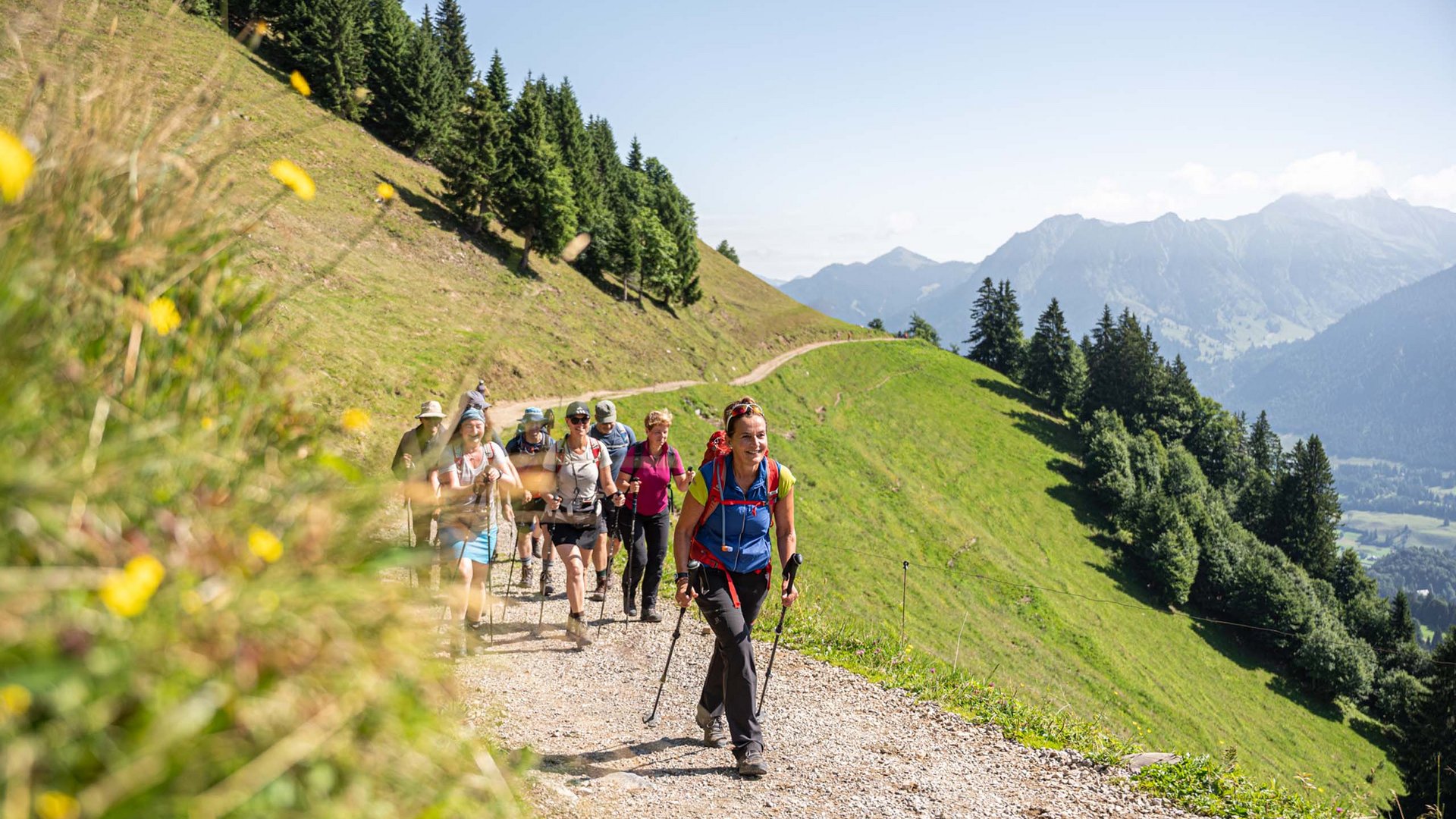 Gruppe wandert auf Bergweg mit grünen Hügeln und Bergen im Hintergrund