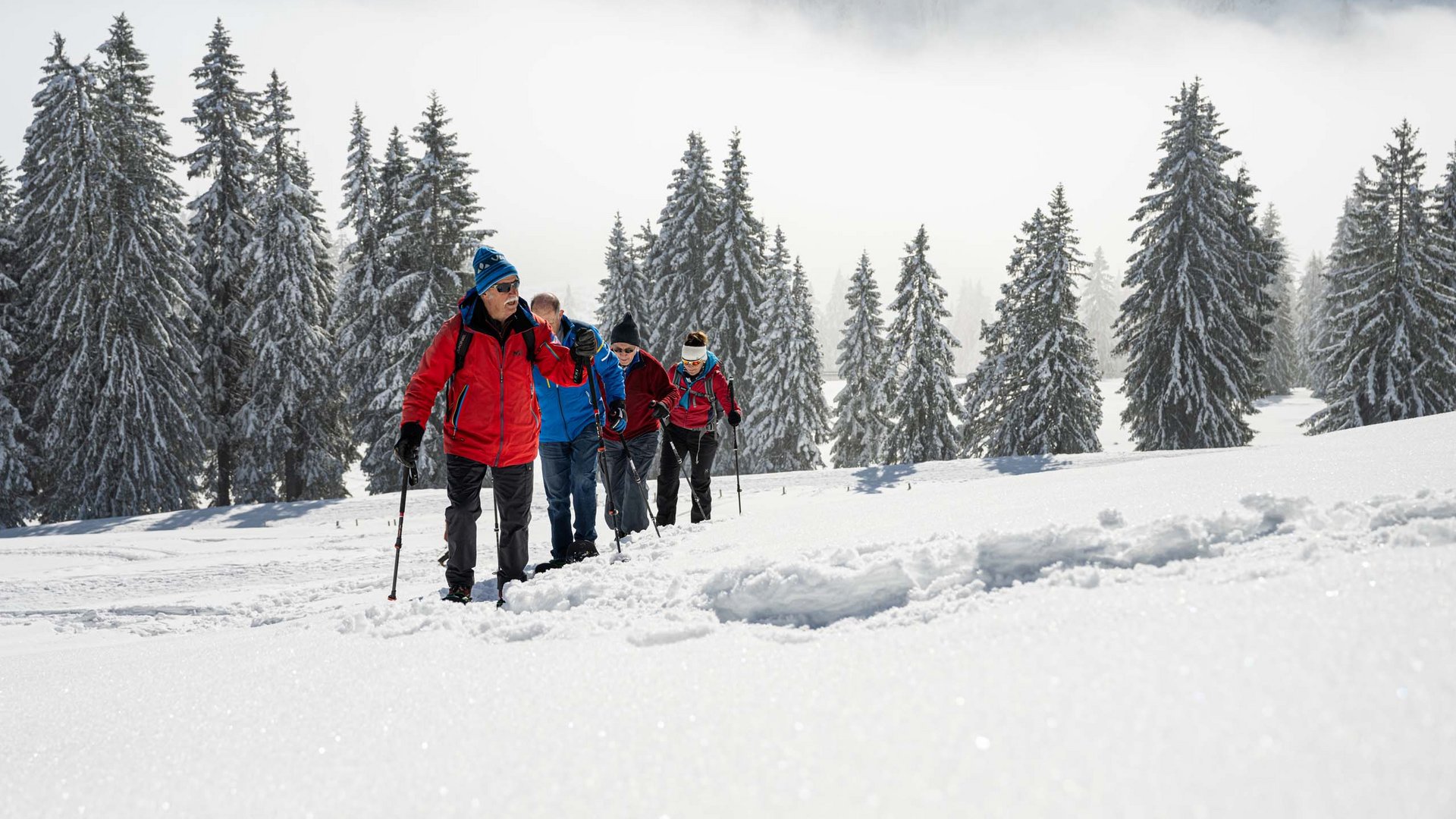 Aktivprogramm im Hotel Filser, Ihrem Aktivhotel im Allgäu Vier Erwachsene wandern mit Schneeschuhen durch verschneiten Winterwald