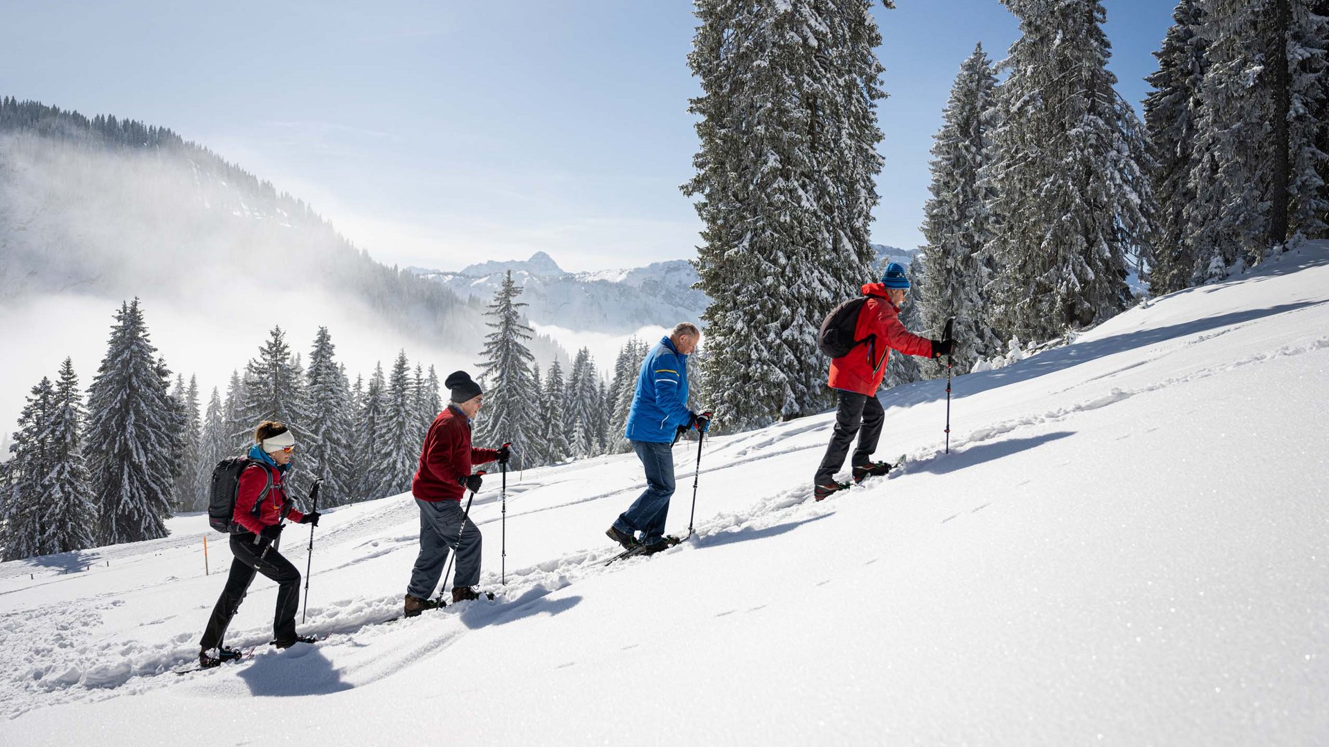 Four people hiking uphill on snow with snowshoes on a sunny winter day