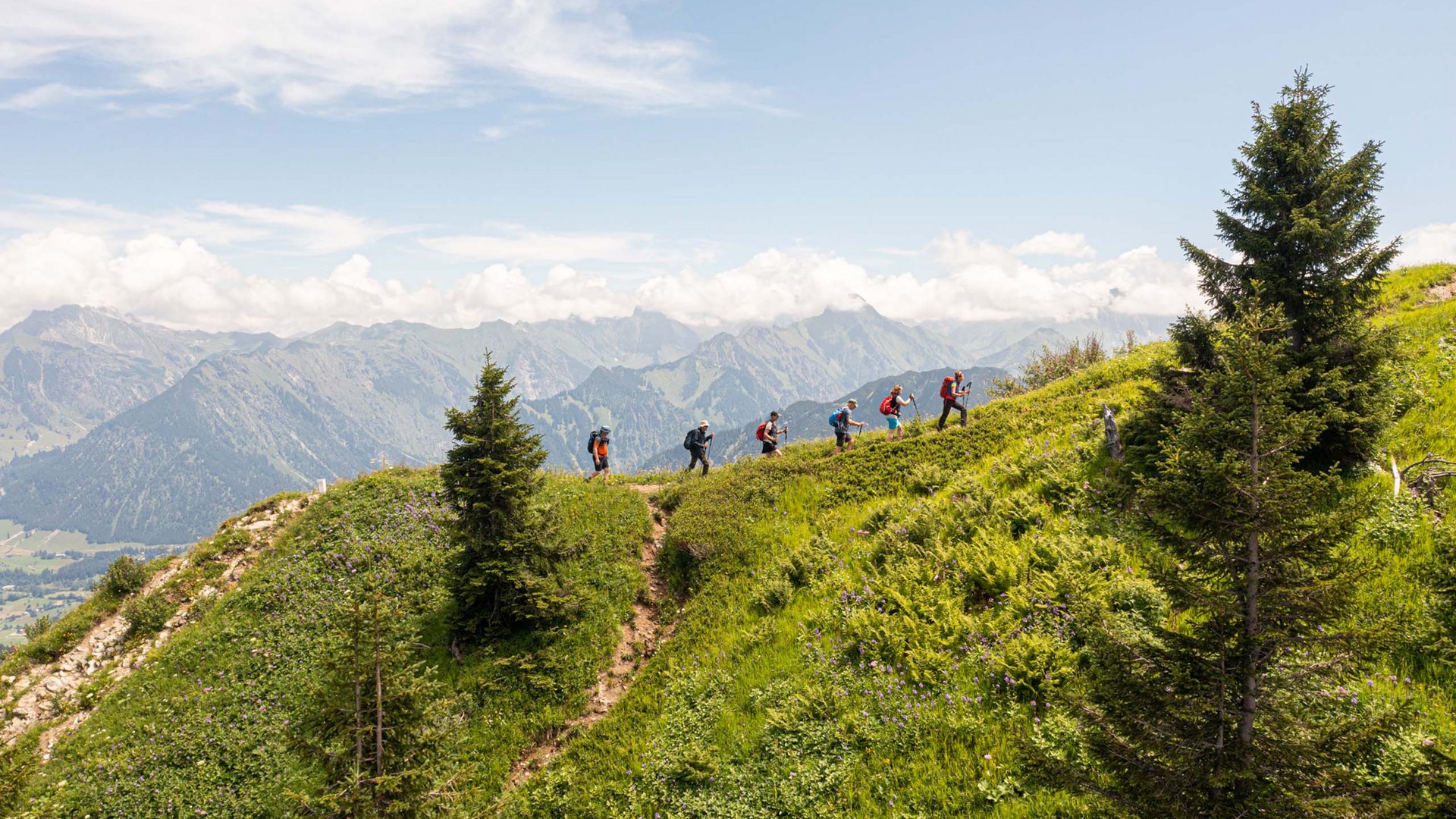 Filser Gesundheitswandern und Workshop mit Dr. med. Rainer Fink Gruppe von Wanderern auf grünem Bergpfad mit Alpen im Hintergrund