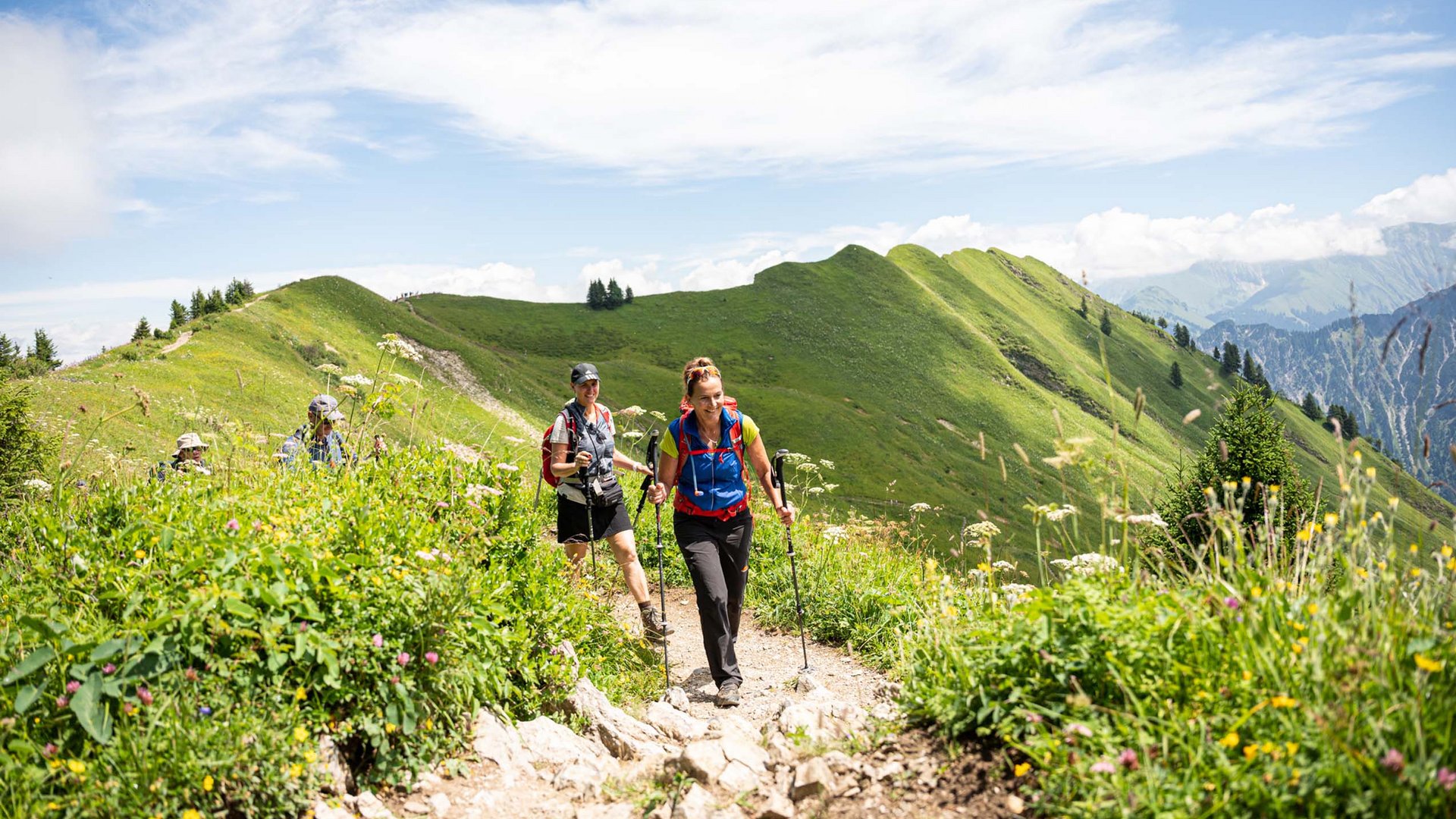 Hikers walking on a mountain trail in sunny weather